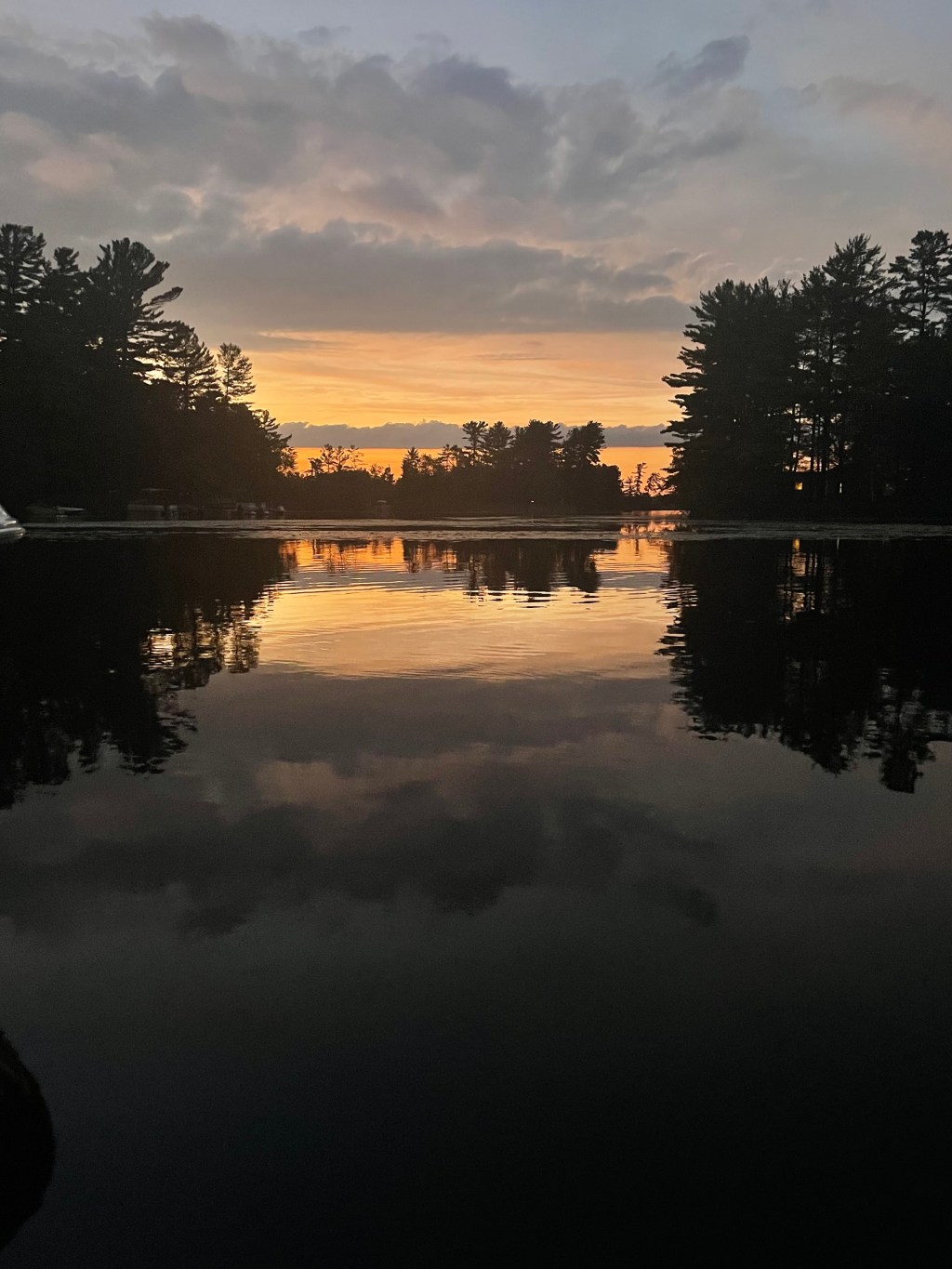 TO WHOM IT MAY&nbsp;CONCERN