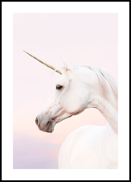 UNICORNS